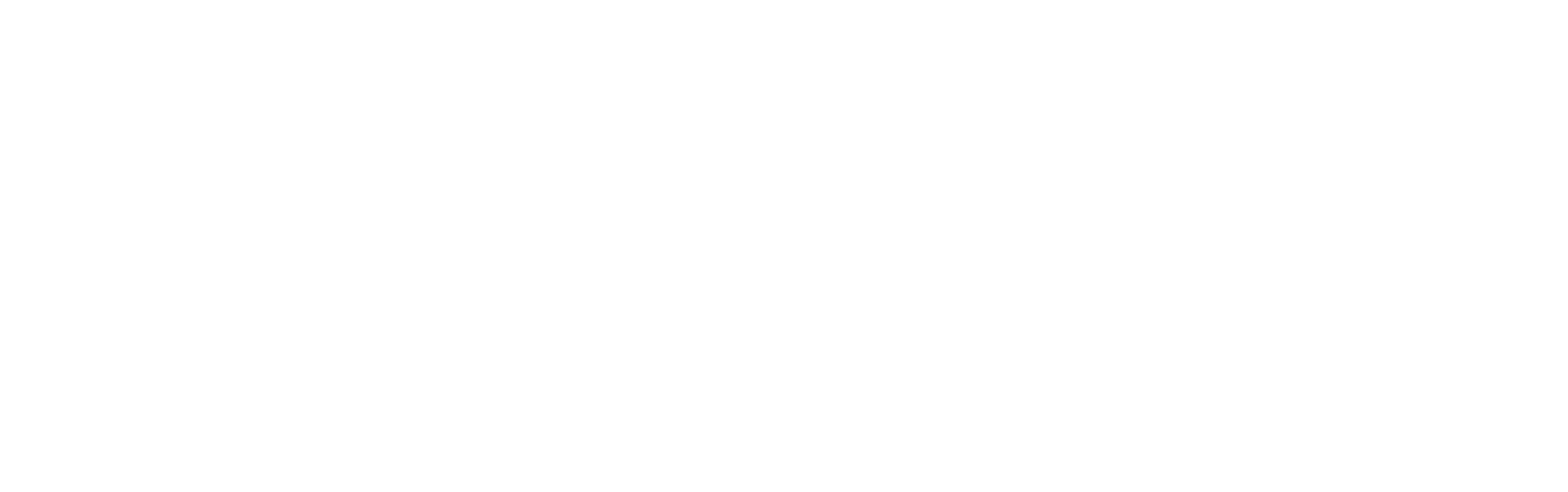 PI Store
